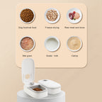 Automatic Pet Feeder: Timed Steel Bowl Dispenser