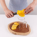Manual citrus juicer detail